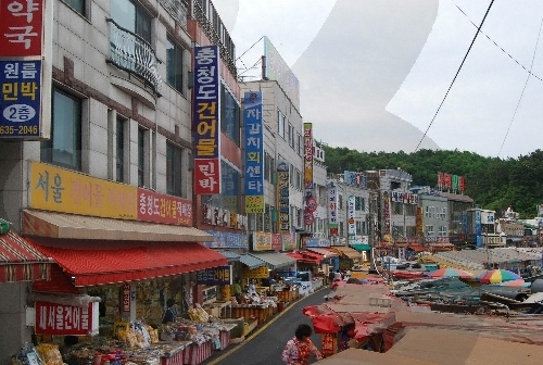 Daepohang Port (대포항)