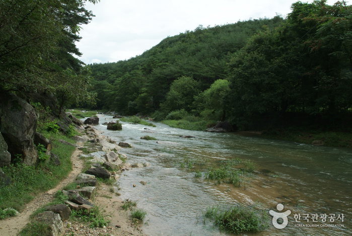 Vallée Seokcheon (석천계곡)
