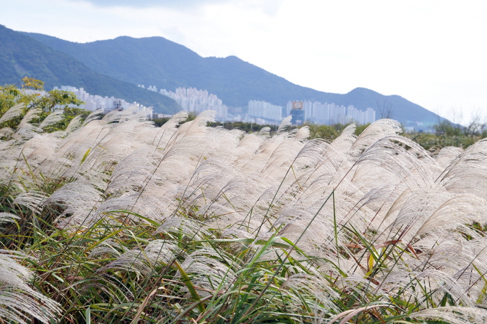 三樂生態公園(삼락생태공원)