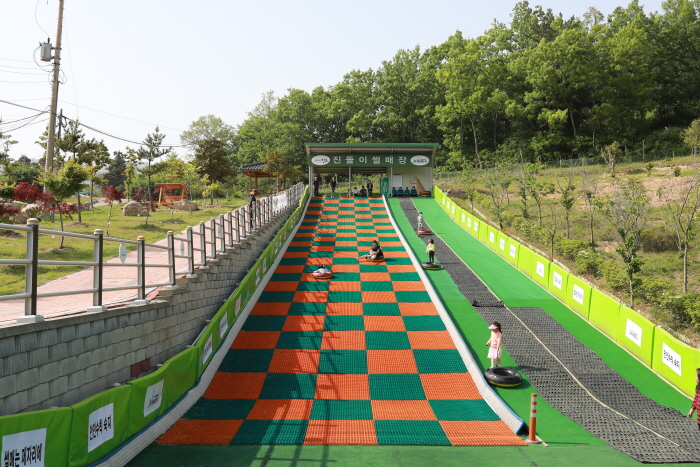 진도개 페스티벌 20203