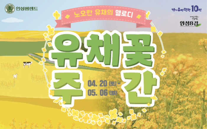 안성 호밀밭축제 20196