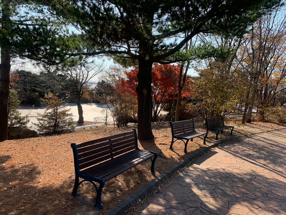 平沢湖芸術公園（평택호예술공원）