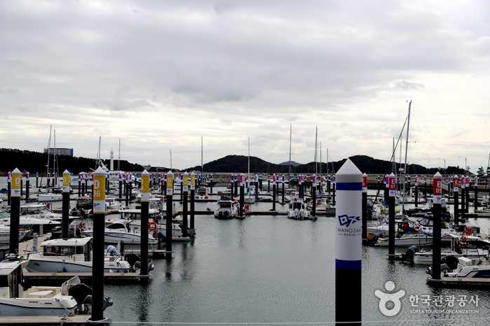 thumbnail-왕산마리나-2