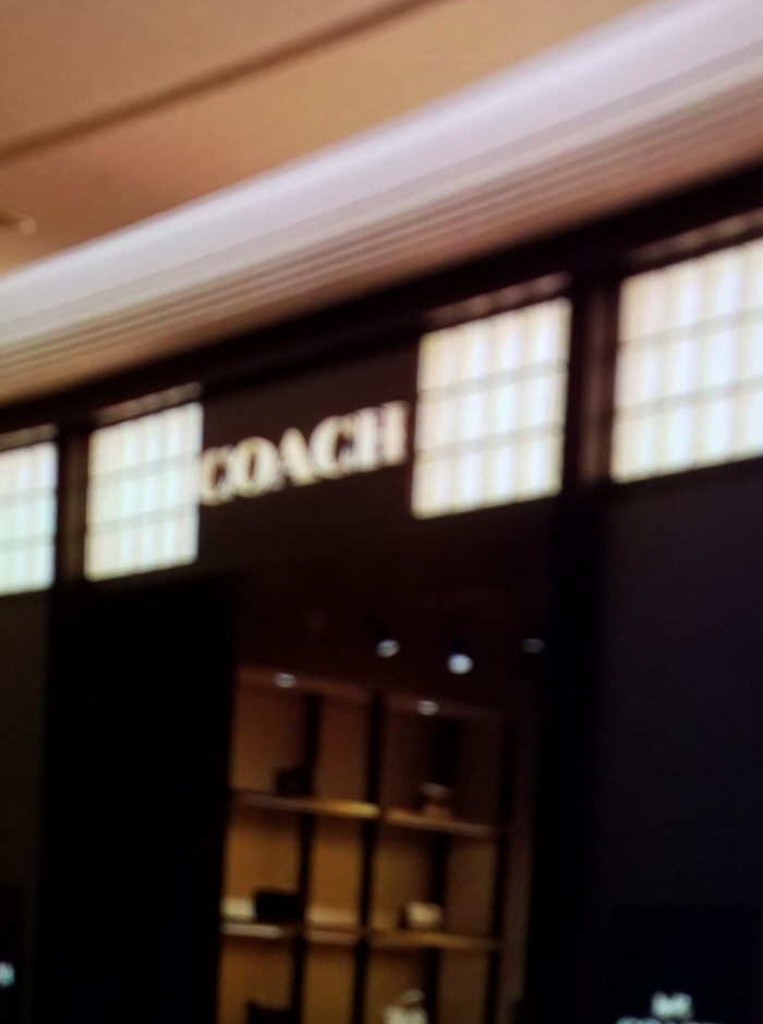 [事後免稅店] COACH (新世界永登浦店)(코우치 신세계영등포)