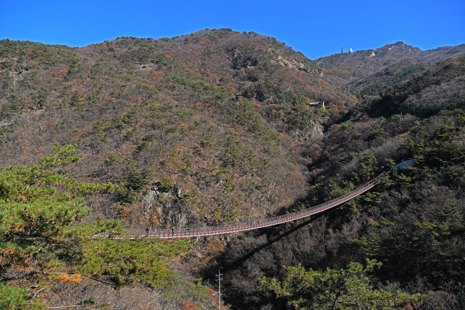 紺岳山吊橋(감악산 출렁다리)