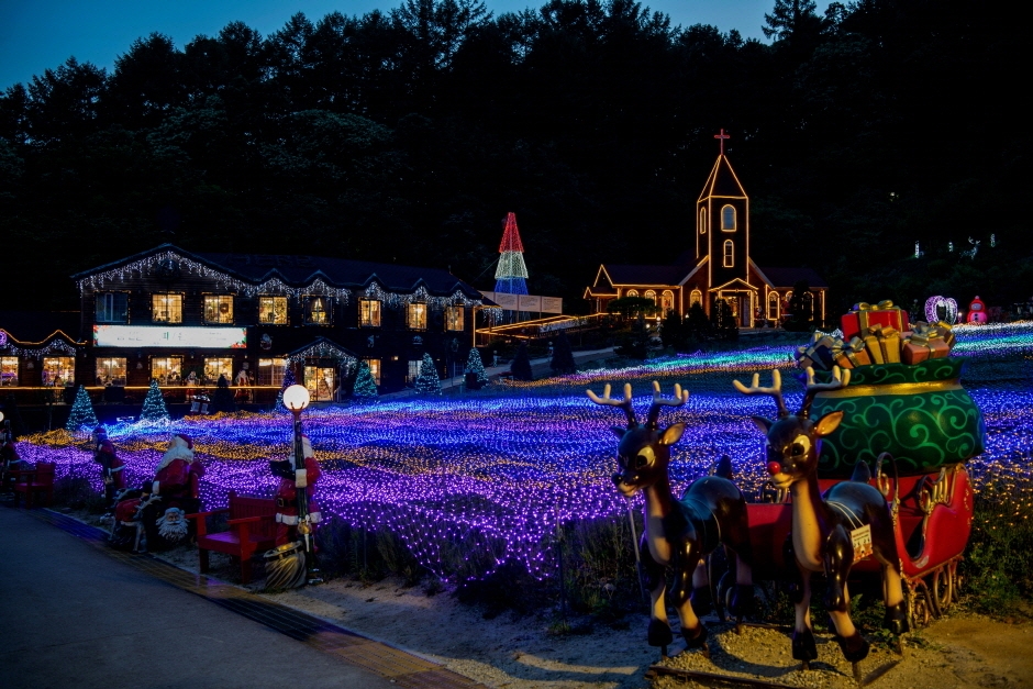 허브아일랜드 불빛동화축제 (2)
