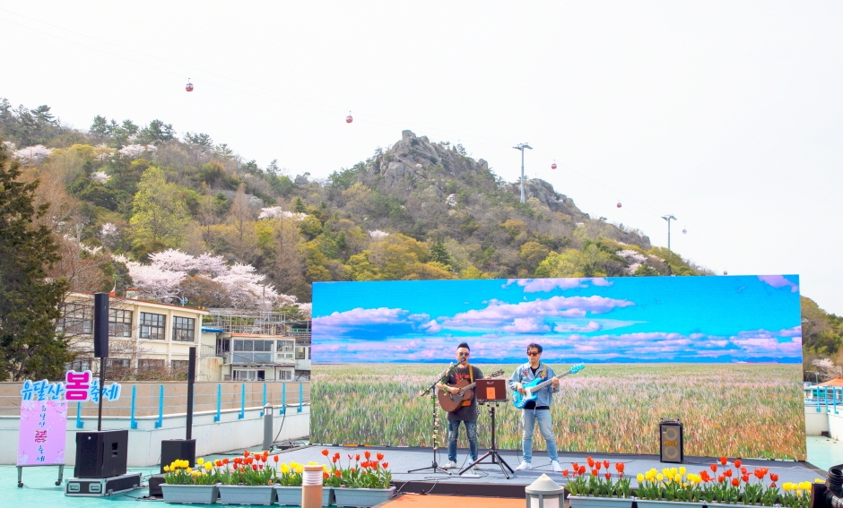 Yudalsan Frühlingsfestival (유달산 봄축제)