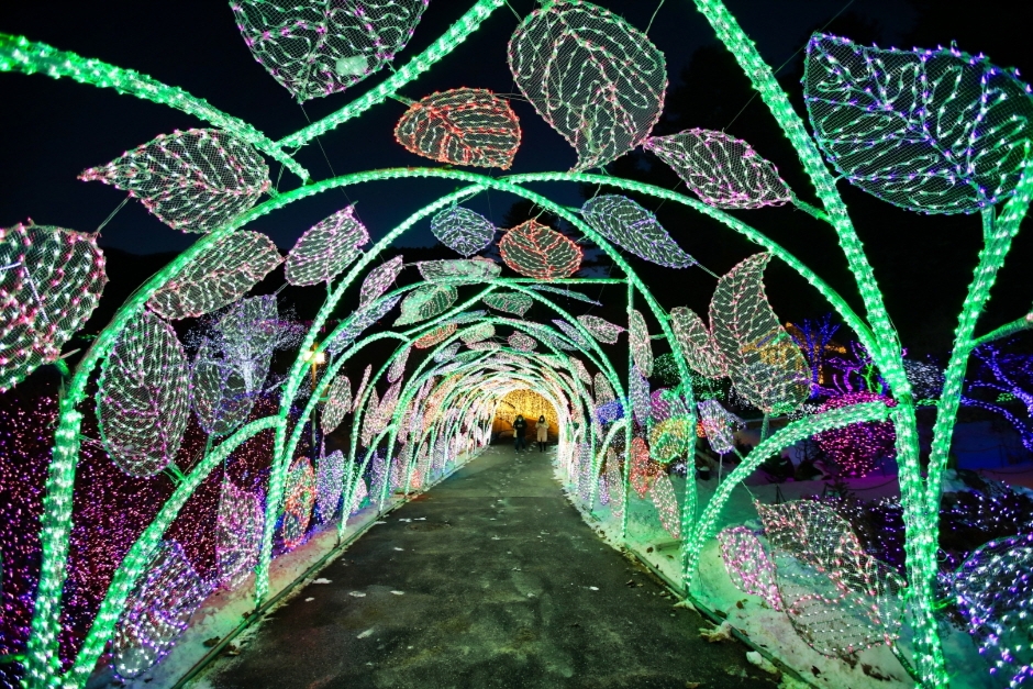 Lichterfest im Arboretum Achim Goyo (아침고요수목원 오색별빛정원전)