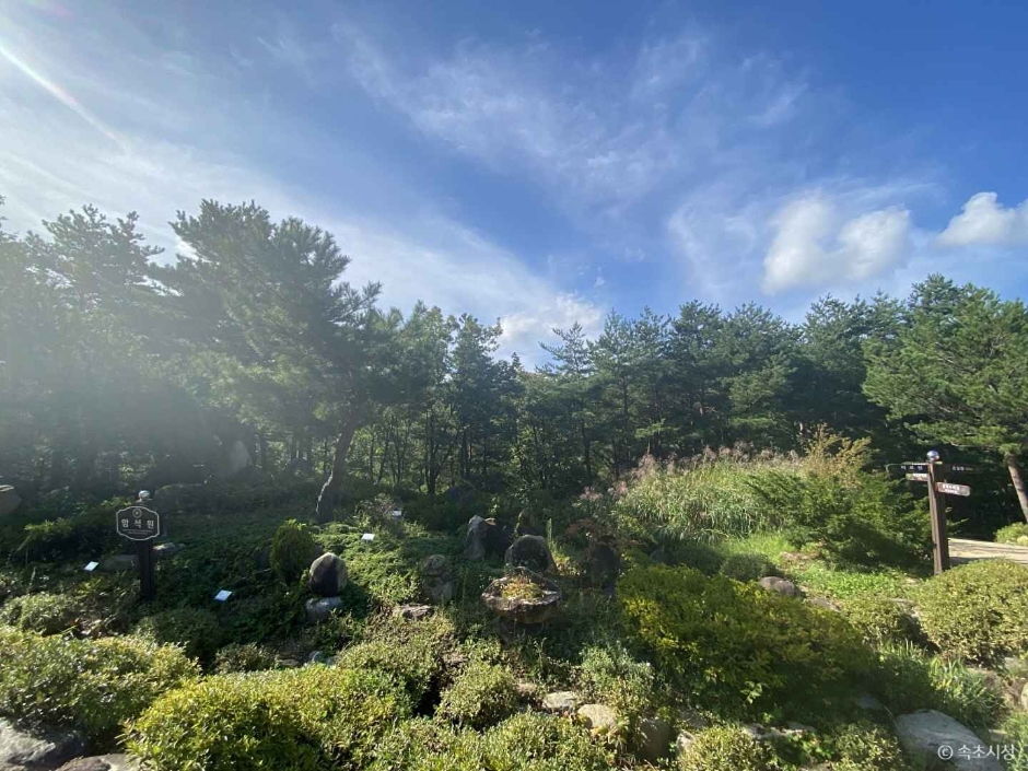 설악산 자생식물원