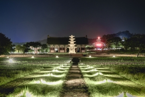 정림사지 (3)