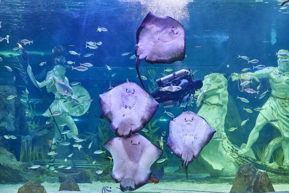 大田世博水族馆（대전 엑스포 아쿠아리움	)