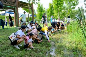 예산황새축제 (7)