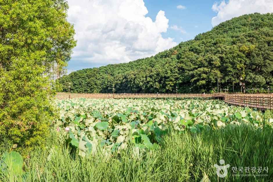 thumbnail-문성지-8