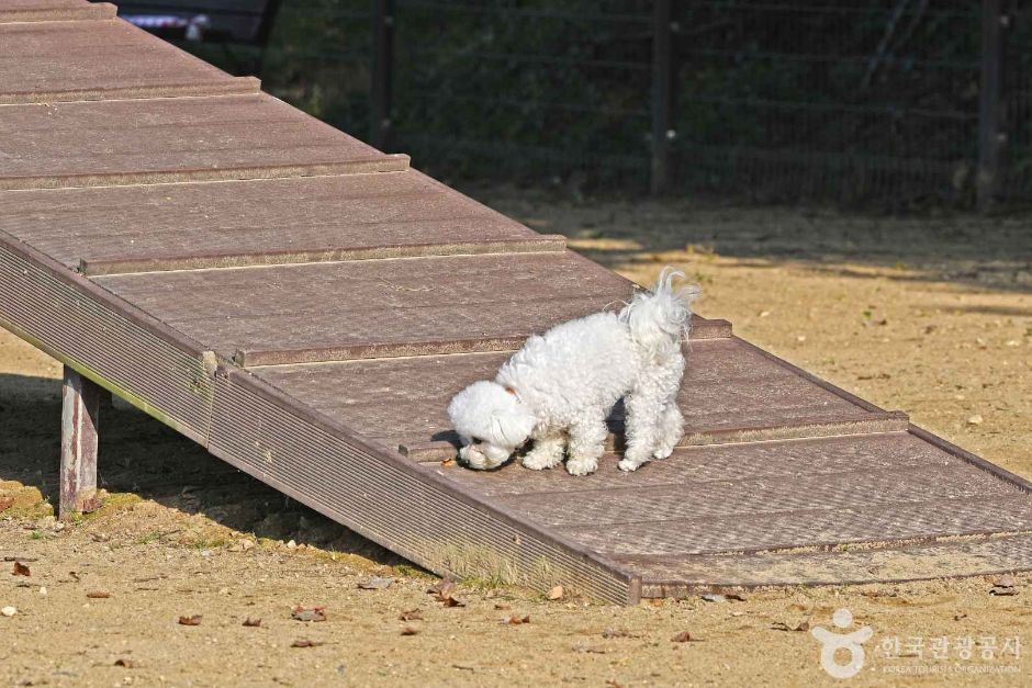 광교호수공원 반려견 놀이터