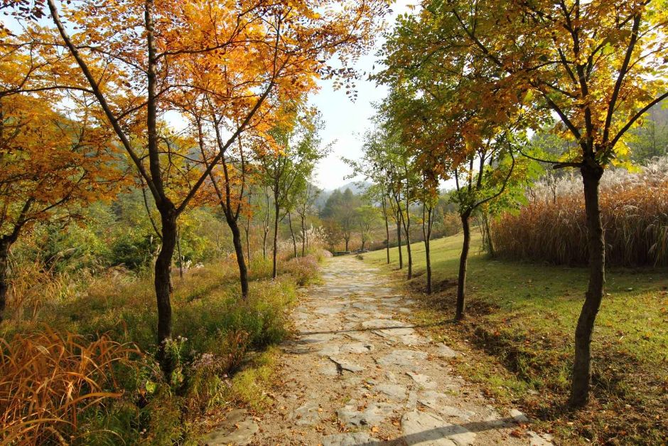 국립한국자생식물원