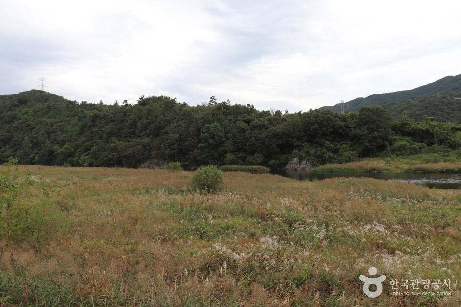 부남면 금강하천 (5)_e