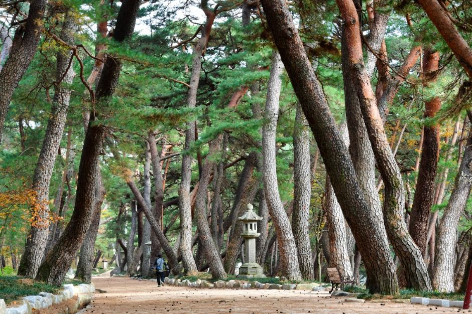 양산_통도사 (8)