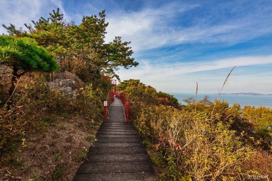 부아산 구름다리
