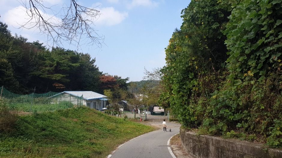 [경기옛길 평해길 제3길] 정약용길 (2)