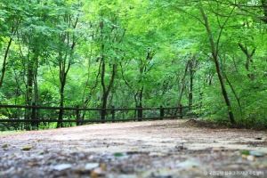 서울_[북한산 둘레길 21구간] 우이령길 (5)