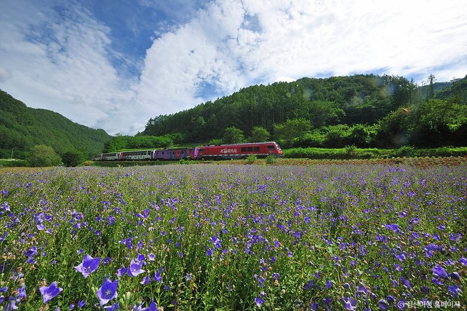 정선아리랑열차(A-train)