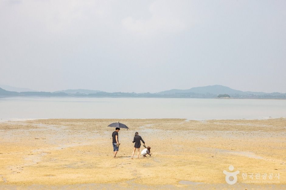홀통유원지·홀통해변