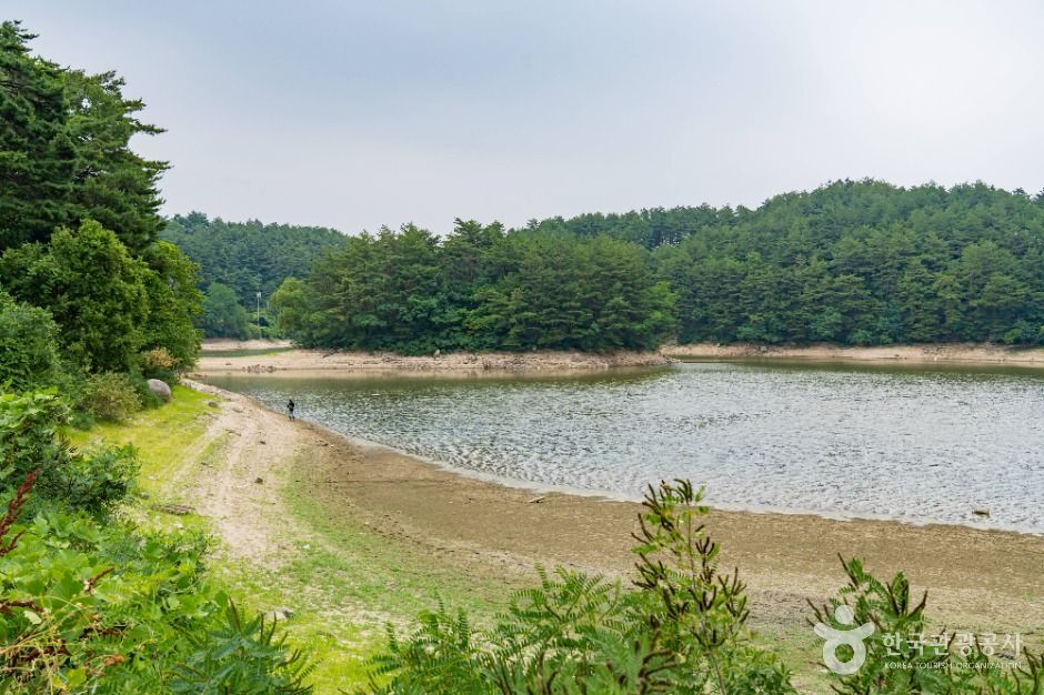 강릉_죽헌저수지 (3)