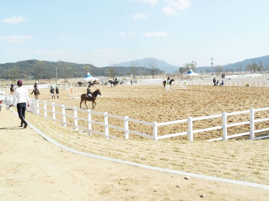 구미_구미시승마장 (5)