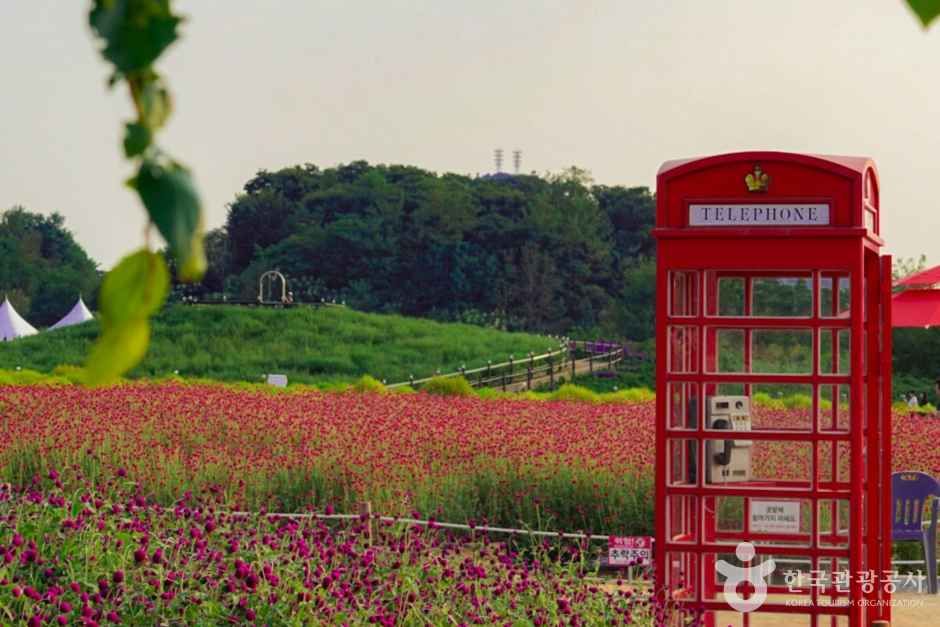 나리농원 (5)