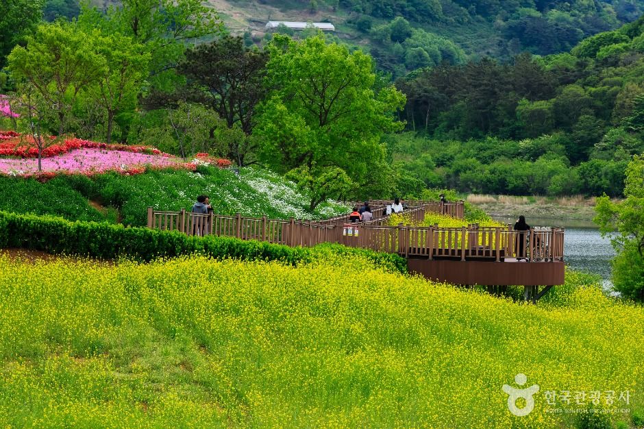 옥정호 출렁다리 및 붕어섬생태공원