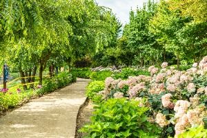 유구색동수국정원