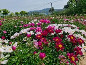 나주_충주산방 (4)
