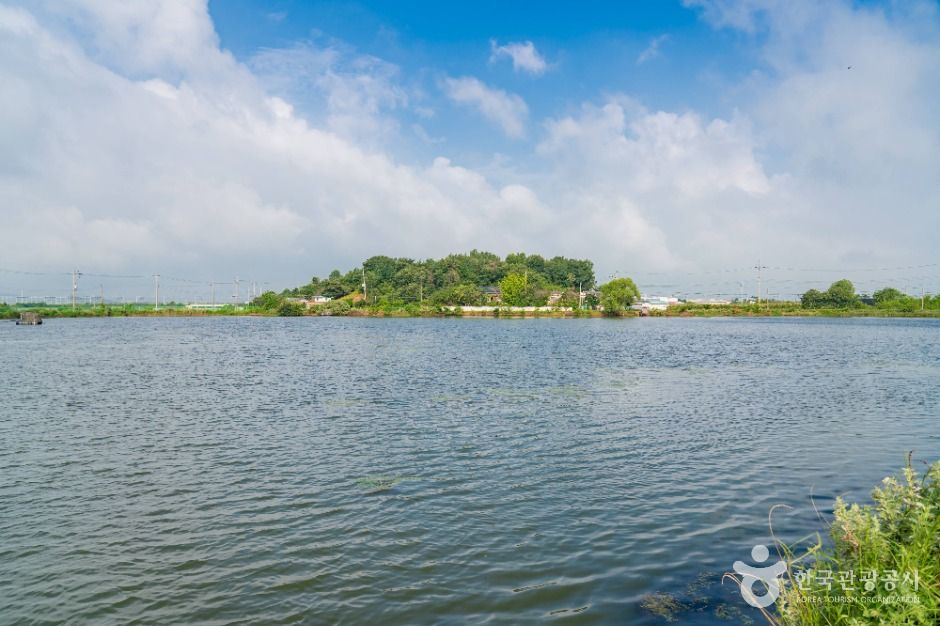 thumbnail-분지섬저수지-9