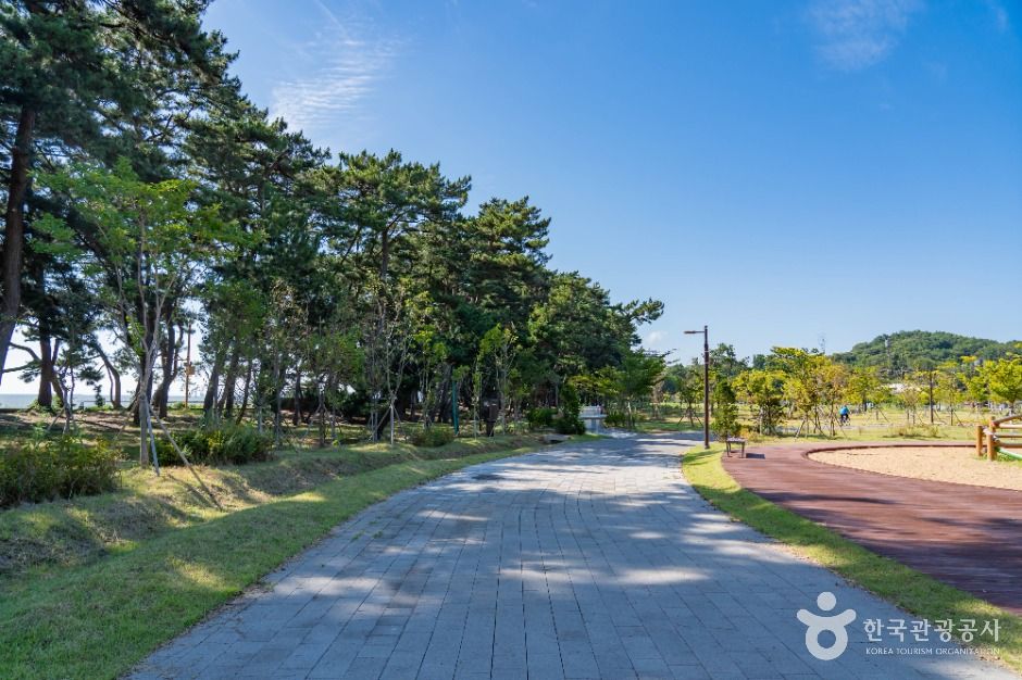 thumbnail-궁평관광지-8