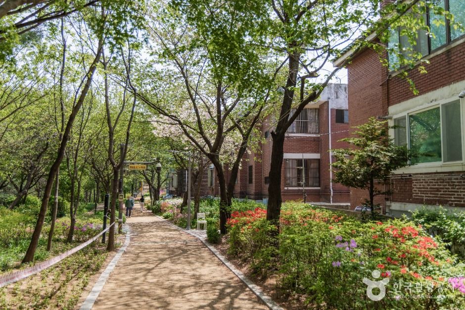 thumbnail-오동근린공원-11