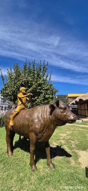 [옥천향수자전거길] 금강 향수 100리 코스