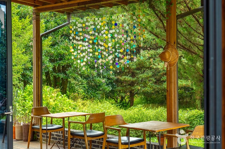 천개의향나무숲