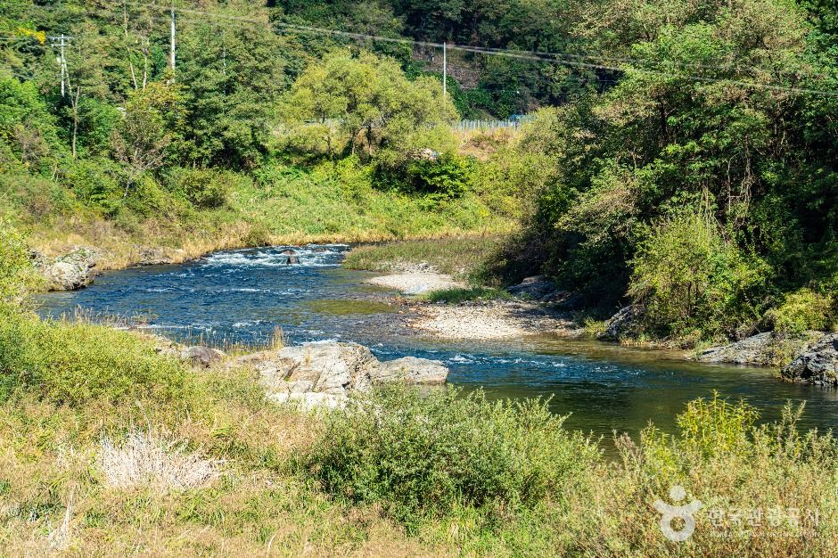 thumbnail-수입천-5