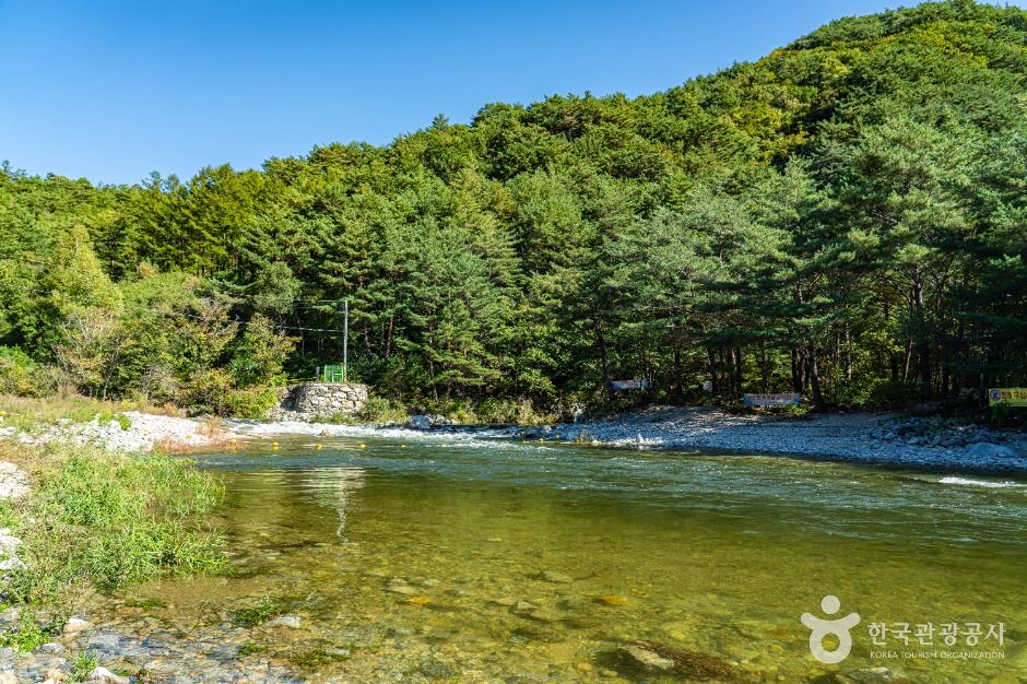 인제_진동계곡 (4)