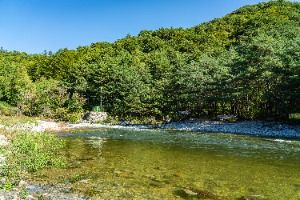 인제_진동계곡 (4)