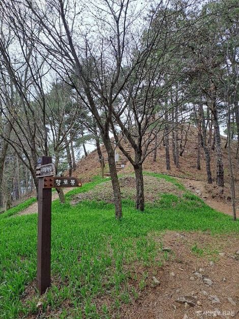 무주_무주 향로산 자연휴양림 (2)