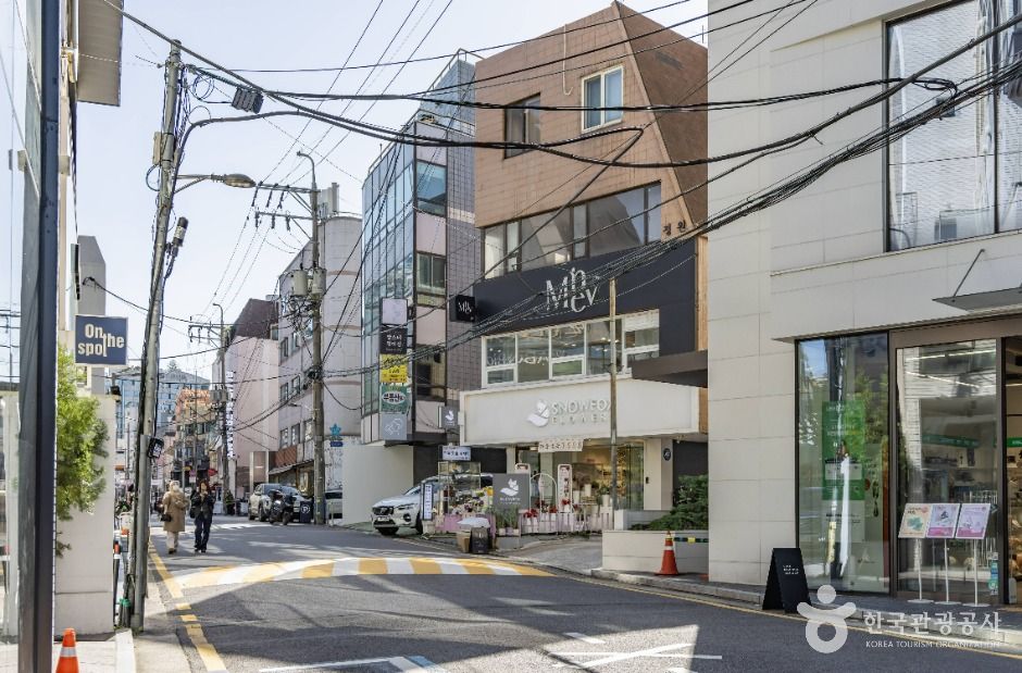 신사동 가로수길