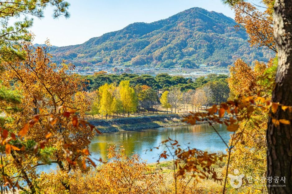 영동_양산팔경 금강둘레길 (8)