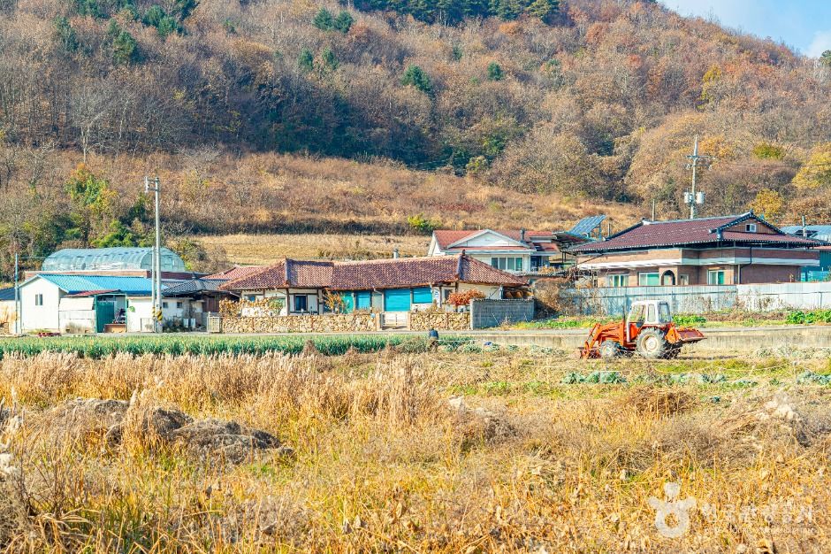 원연장 꽃잔디마을