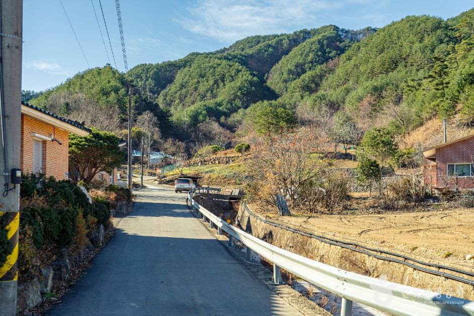 thumbnail-삼척 가시오가피마을-2