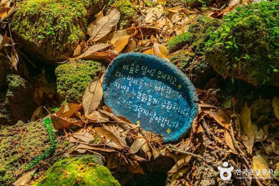 thumbnail-환상숲곶자왈공원-2