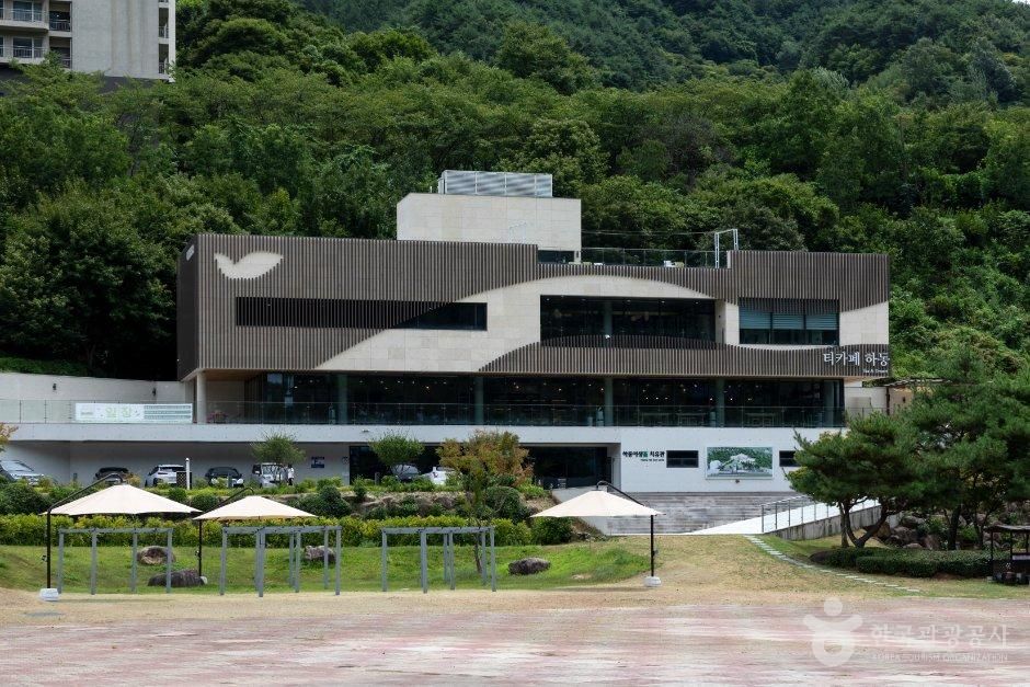 thumbnail-하동야생차박물관-15