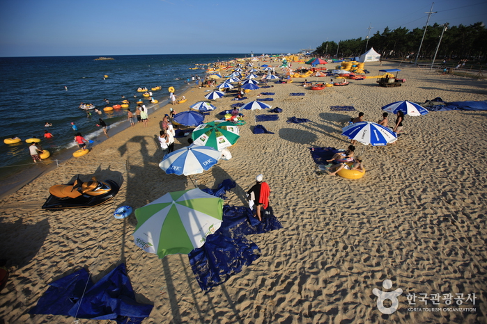 Gyeongpo Beach (경포해변)