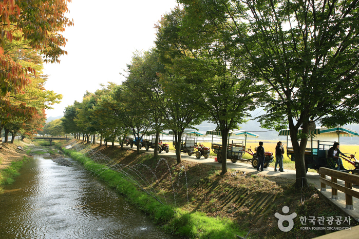 Imsil Cheese Village (전북 임실치즈마을)