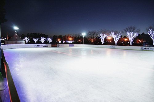 Ice Skating Stadium
